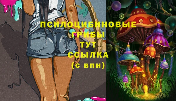 соль курить ск Арсеньев