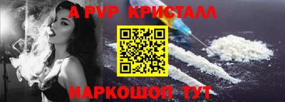шишки Гай