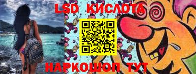 шишки Гай