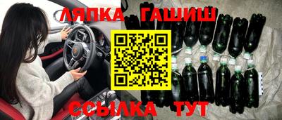 шишки Гай