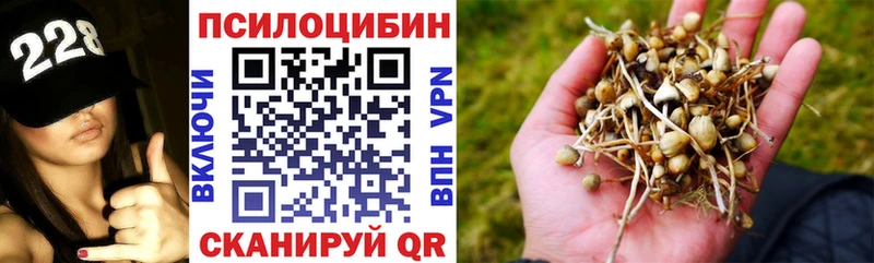 Псилоцибиновые грибы ЛСД Балахна