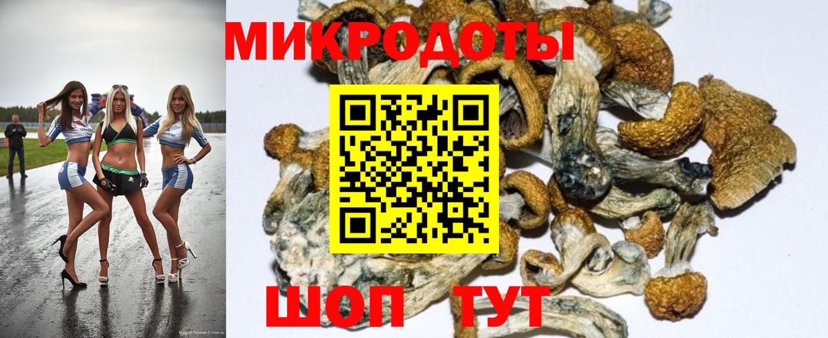Галлюциногенные грибы мицелий  Галлюциногенные грибы MAGIC MUSHROOMS  Вход с VPN  где можно купить   Балахна 