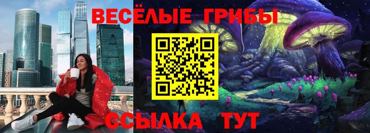 Галлюциногенные грибы Cubensis Балахна